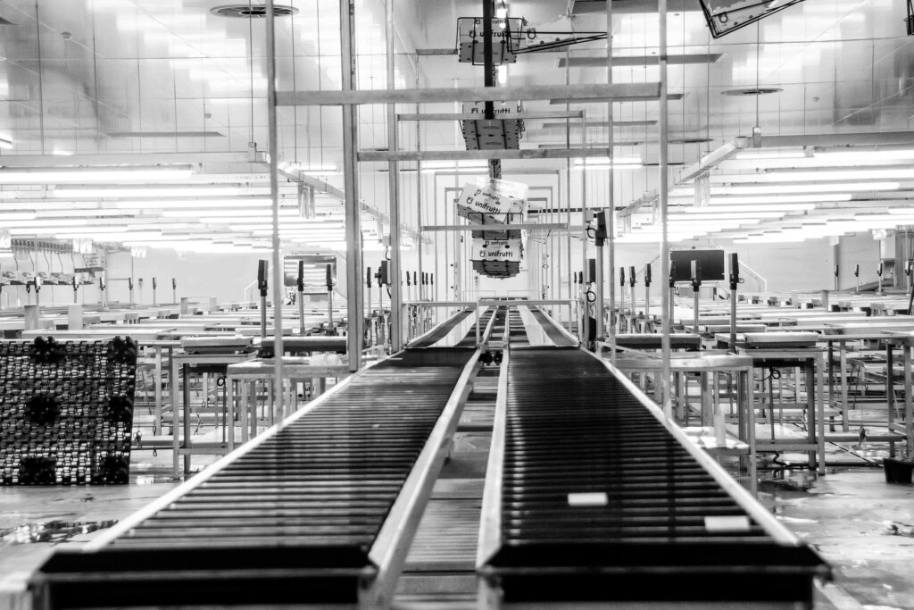 Conveyor production line in a manufacturing plant